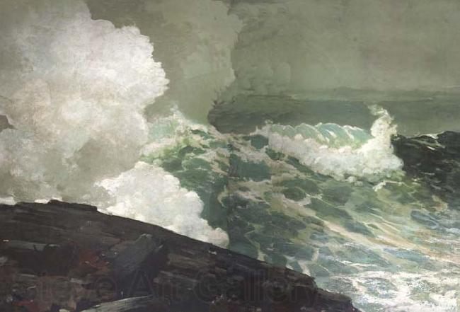 Winslow Homer Northeaster (mk44)